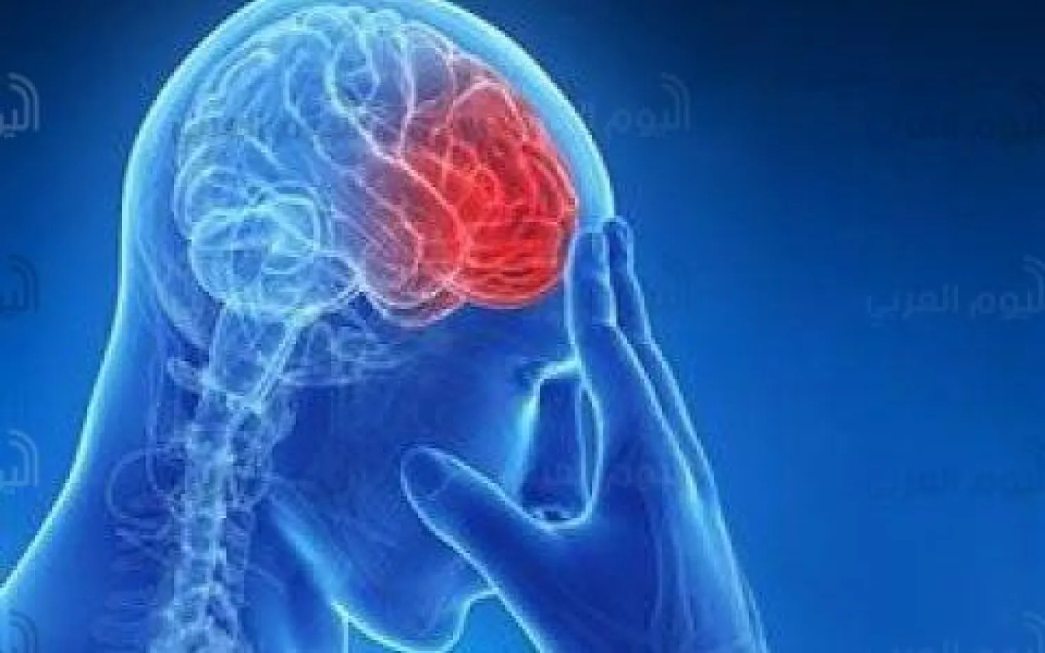 عادات