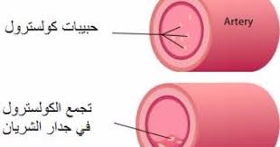 الثوم