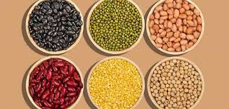 القرطوم العشبي