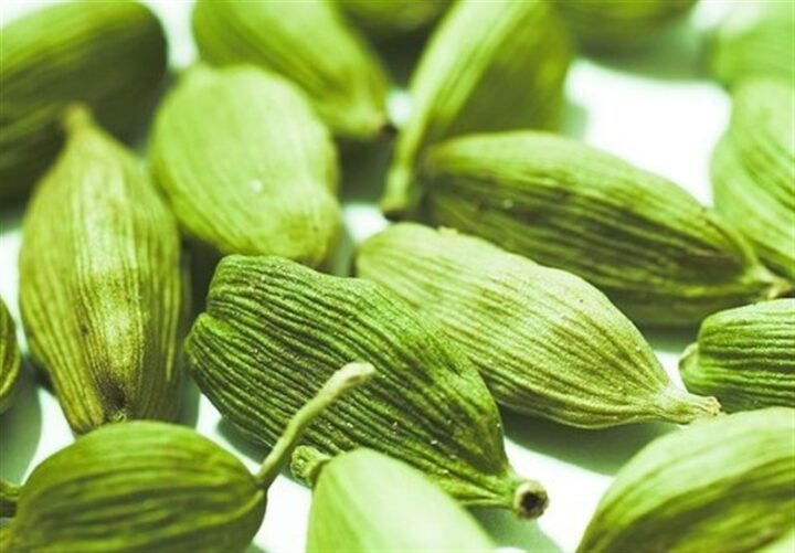 خصائص الهيل