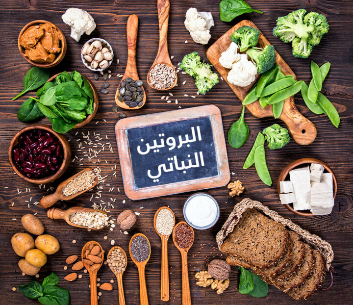 البروتين النباتي