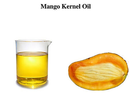 زيت نواة المانجو