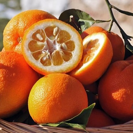 فوائد عصير البرتقال