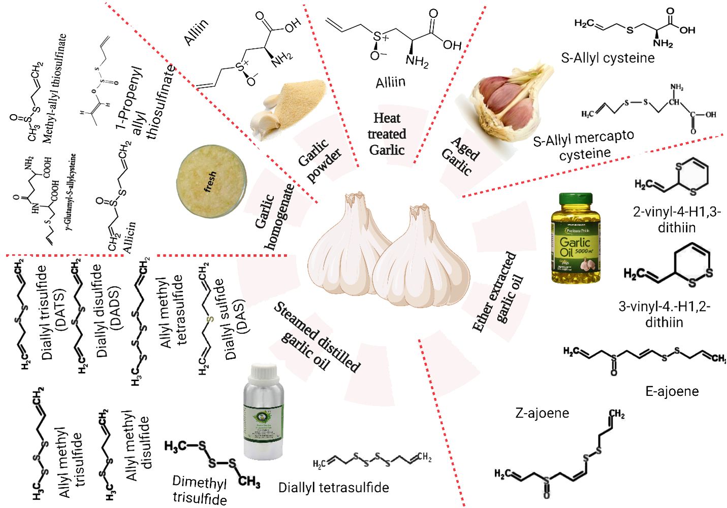 الثوم النيّئ