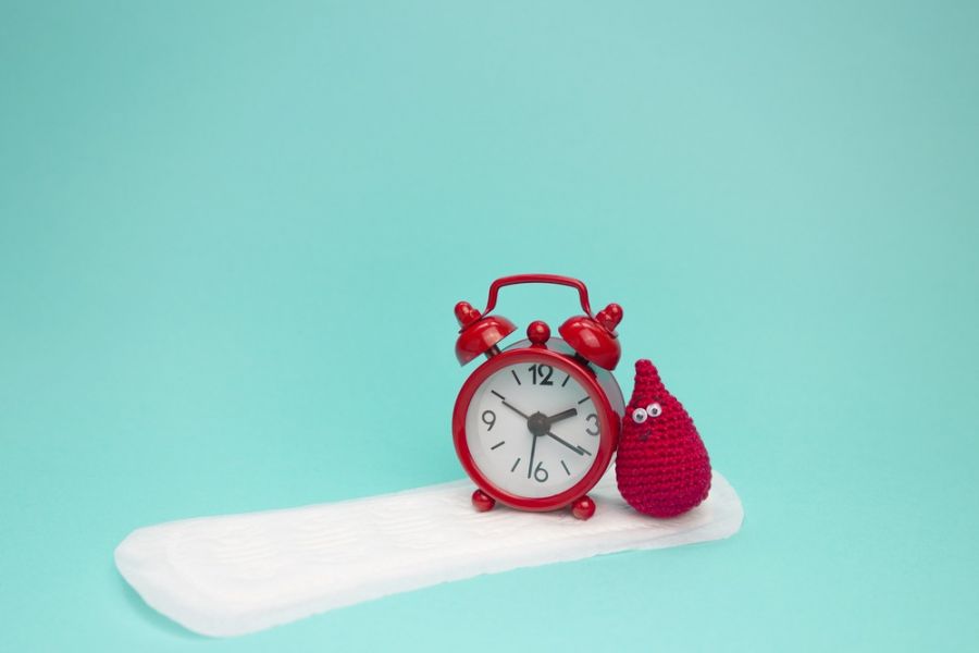 الفاصل الزمني بين دورتين شهريتين