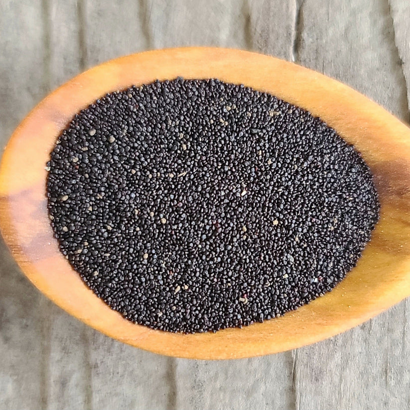 بذور الرجلة