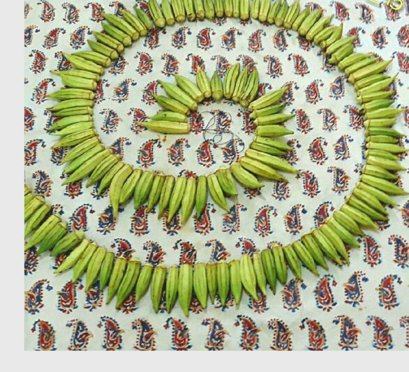 تجفيف البامية