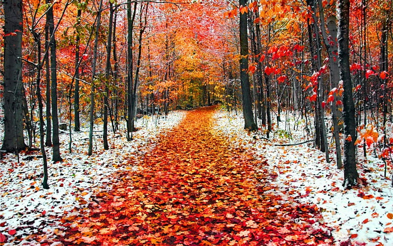 تفسير حلم الثلج في الخريف