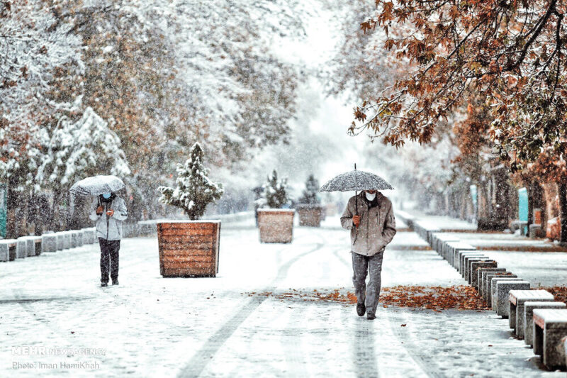 تفسير حلم الثلج في الخريف