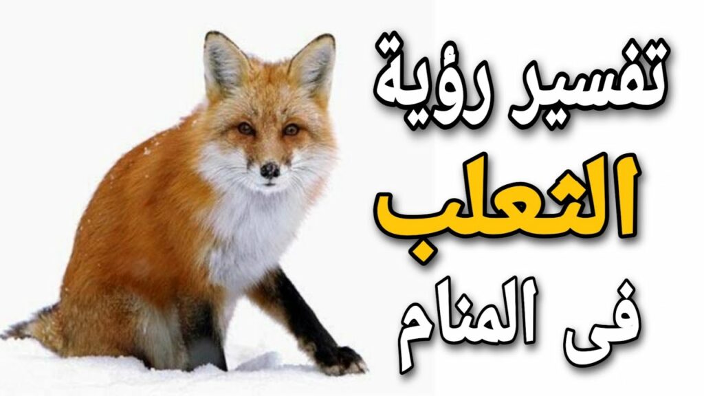الثعلب في المنام